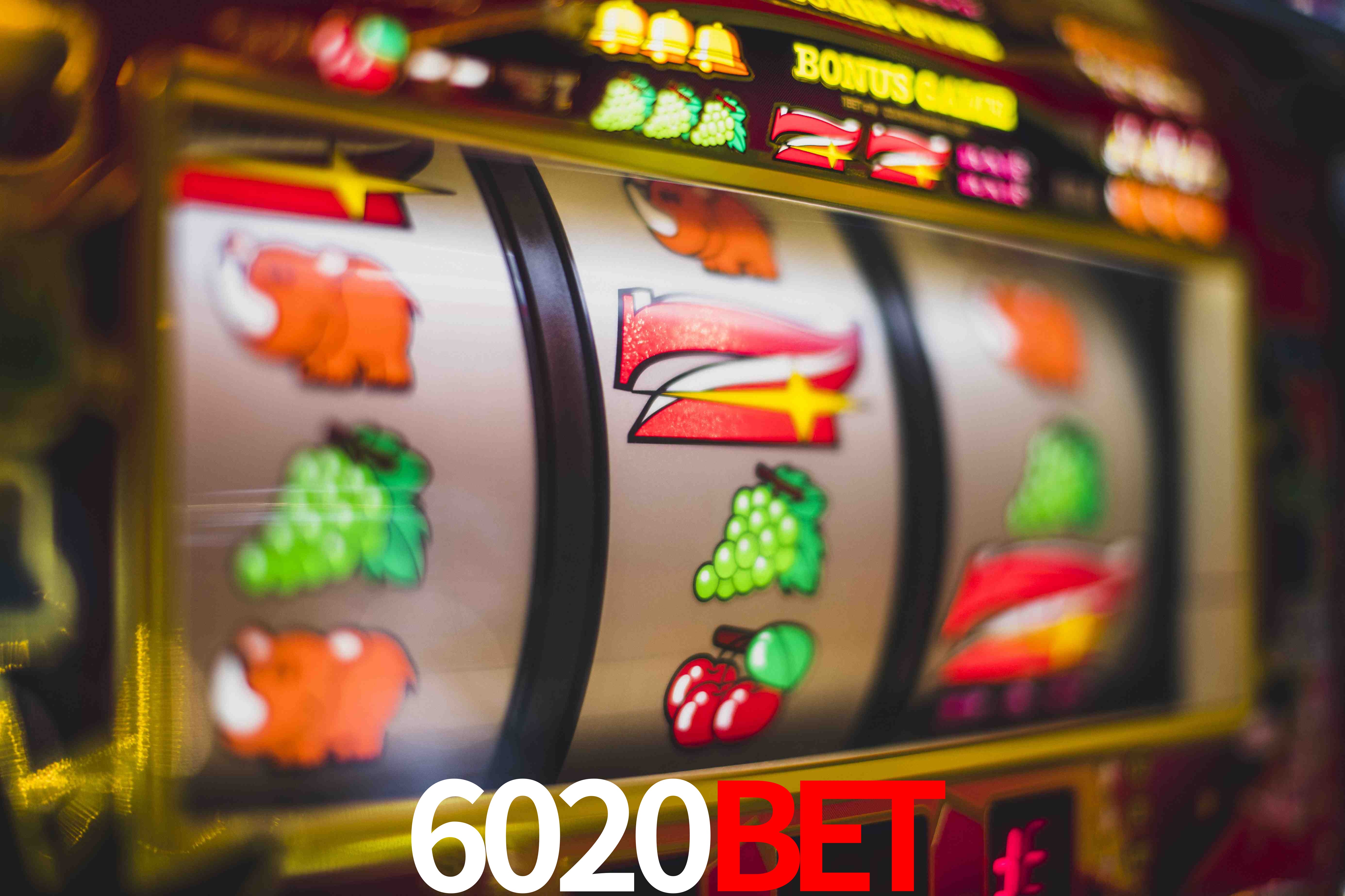 Crash Games Statistics 6020bet